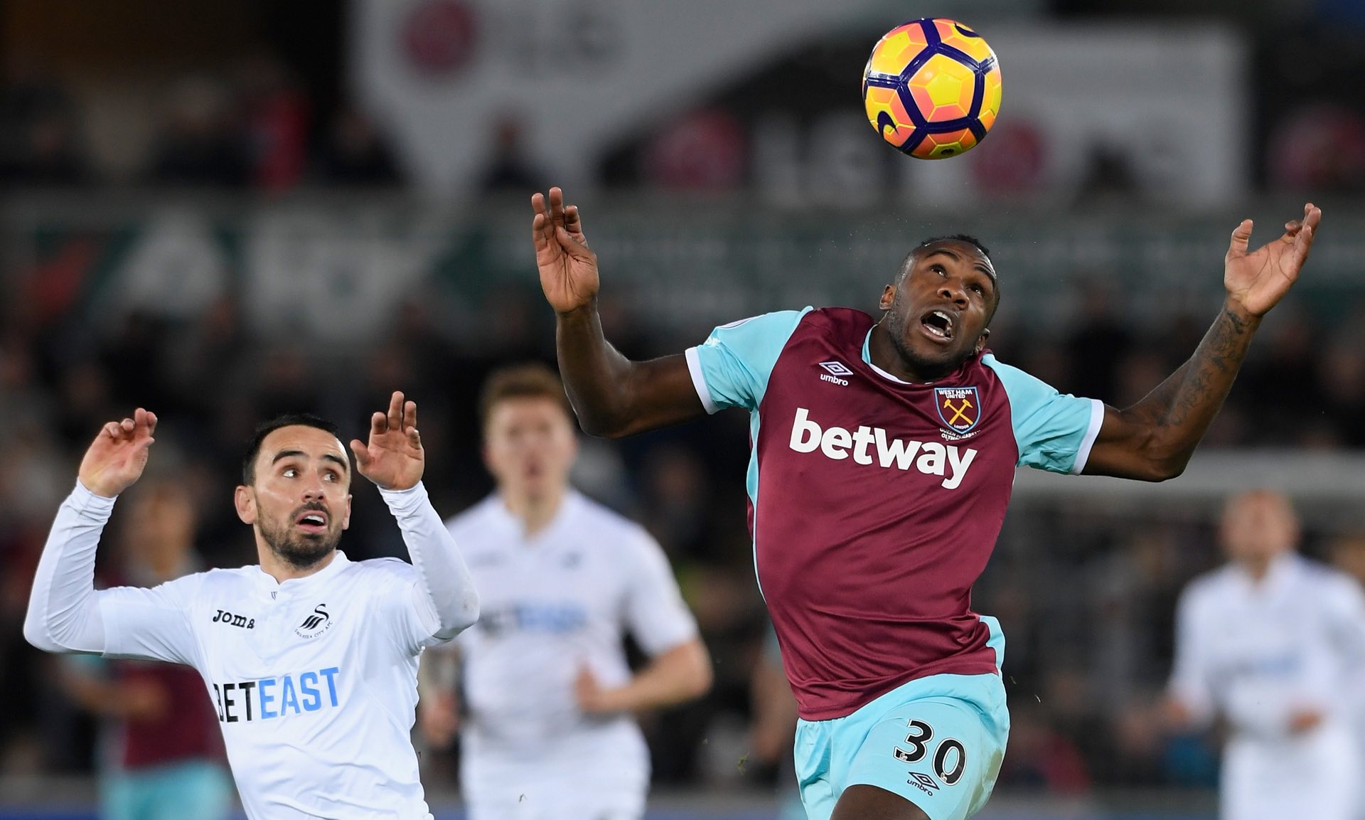 双雄并驾齐 双雄并驾齐