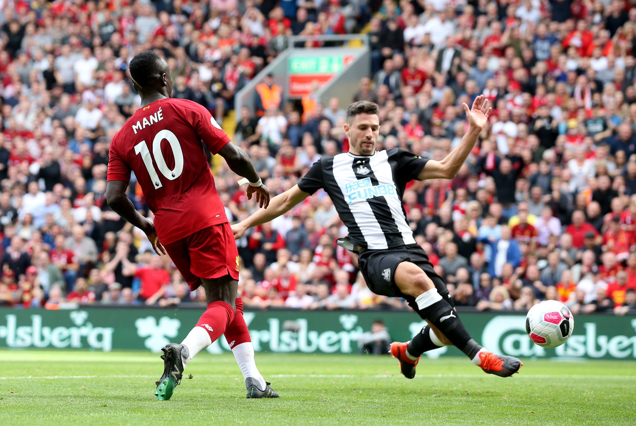 他不仅贡献 他不仅贡献